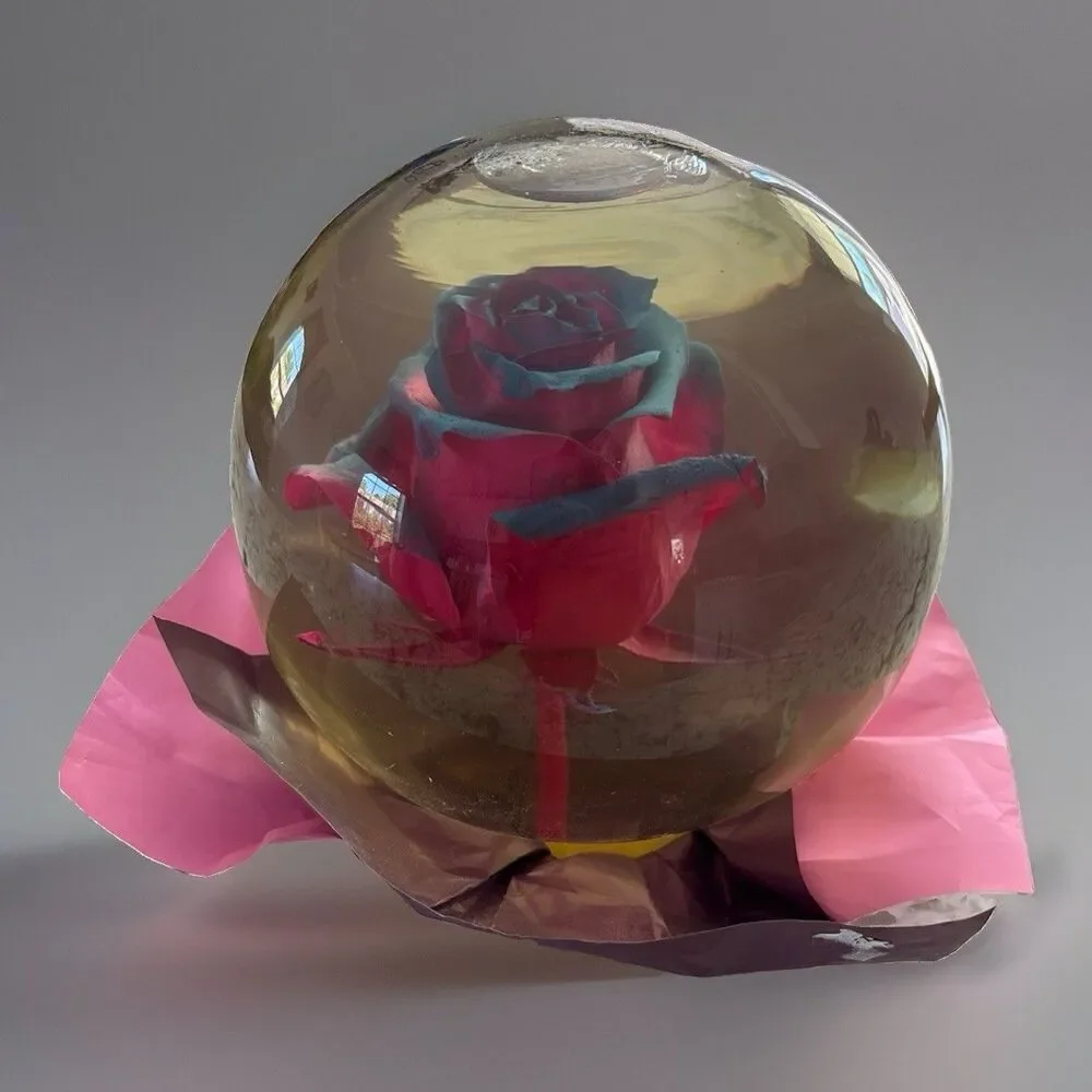 Forever ROSE Pink & Blue In Glass Ball Water Dome Globe Large Real Rose 6”
